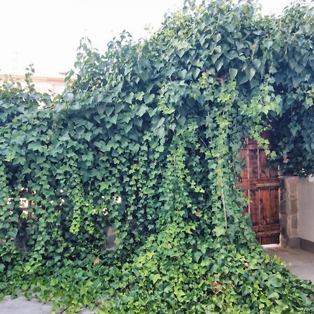 El Mojon Beach Apartment المظهر الخارجي الصورة